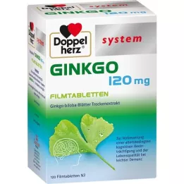 DOPPELHERZ Ginkgo 120 mg system filmdrasjerte tabletter, 120 stk