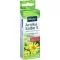 KNEIPP Arnica salve S, 20 g