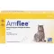 AMFLEE 50 mg spot-on-oppløsning til katter, 3 stk