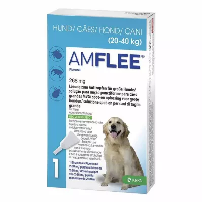 Amflee 268 mg Spot-On for store hunder, 3 stk