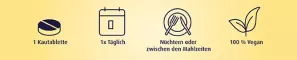 Instructions for use for Vitamin B12 500 µg metylkobalamin pastiller, 60 stk - 2