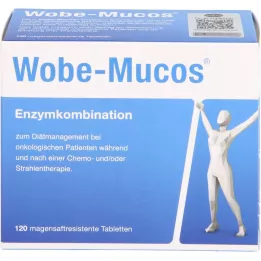 WOBE-MUCOS enterotabletter, 120 stk