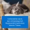 Traumeel LT ampuller vet.(for dyr), 50X5 ml