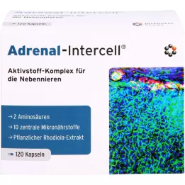 ADRENAL-Intercell kapsler, 120 kapsler