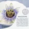Gratis olje hydrolipid nattpleie pasjonsblomst (50 ml)