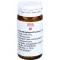 ARNICA/EPIPHYSIS/PLUMBUM comp.B-kuler, 20 g