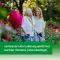 GINKGOVITAL Heumann 240 mg filmdrasjerte tabletter, 80 stk