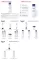 Instructions for use for Eucerin UreaRepair Original Lotion 3 %, 250 ml - 2