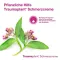 Traumaplant® smertekrem, 100 g