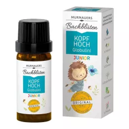 BACHBLÜTEN Murnauers Head Up Globulini for barn, 10 g