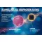 THOMAPYRIN TENSION DUO 400 mg/100 mg filmdrasjerte tabletter, 12 stk