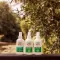CARE PLUS Insektspray Deet Spray 50%, 200 ml