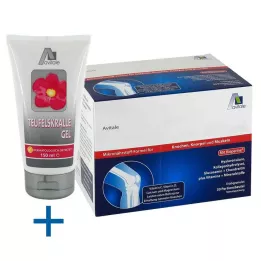 GELENKNAHRUNG+Hyaluronsyregranulat, 30X15 g