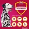 Advantix Spot-on løsning hund 25 - 40 kg, 4X4,0 ml