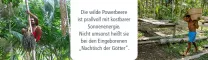 Instructions for use for Acai 100 % organisk pulver uten bærere, 80 g - 2