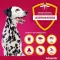 ADVANTIX Spot-on-løsning for påføring på hund 40-60 kg, 4X6,0 ml