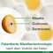 Curcumin-Loges pluss Boswellia kapsler, 60 stk