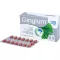 GINGIUM 120 mg filmdrasjerte tabletter, 60 stk