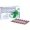 GINGIUM 120 mg filmdrasjerte tabletter, 60 stk