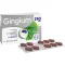 GINGIUM 240 mg filmdrasjerte tabletter, 60 stk