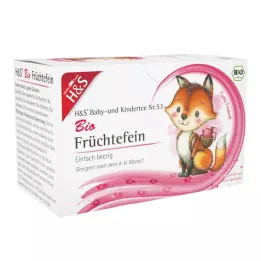 H&amp;S Organic Baby &amp; Childrens Tea Fruit Fine Filter Bag, 20X2.5 g