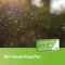 LORATADIN axicur 10 mg tabletter, 7 stk