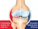 Instructions for use for GELENCIUM® arthro dråper, 100 ml - 2