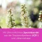 remifemin® PLUS Johannesurt, 180 stk
