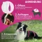 FRONTLINE Tri-Act Drop-on-løsning for hunder 2-5 kg, 6 stk