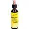 BACHBLÜTEN Original Rescura-dråper uten alkohol, 20 ml