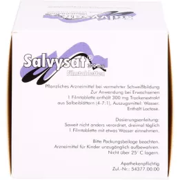 SALVYSAT 300 mg filmdrasjerte tabletter, 90 stk