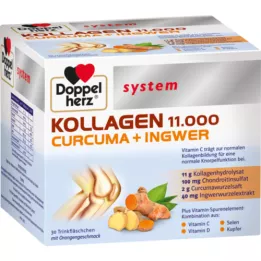 DOPPELHERZ Kollagen 11.000 Curcuma+Ingw.system TRA, 30X25 ml