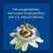 NUREXAN ad us.vet.tabletter, 100 stk
