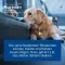 NUREXAN ad us.vet.tabletter, 500 stk