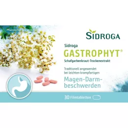 SIDROGA GastroPhyt 250 mg filmdrasjerte tabletter, 30 stk