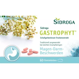 SIDROGA GastroPhyt 250 mg filmdrasjerte tabletter, 60 stk