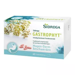 SIDROGA GastroPhyt 250 mg filmdrasjerte tabletter, 60 stk