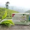 H&S Økologisk grønn te fra Darjeeling filterpose, 20X2 g