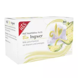 H&amp;S Økologisk ingefærfilterpose, 20X2 g