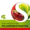 Dobensana Urte Kirschgeschm.vit.c & Sink Pastil.(16 stykker)