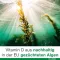 Vitamin D-Loges 7000 IE plantebasert ukentlig depot, 90 stk