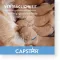 CAPSTAR 11,4 mg tabletter til katter/små hunder, 1 stk