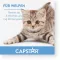 CAPSTAR 11,4 mg tabletter til katter/små hunder, 1 stk
