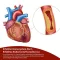 BEH Artery+ kapsler, 90 stk