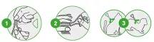 Instructions for use for FRONTLINE COMBO SPOT ON Katt, 3 stk - 5