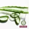 PLANTANA Aloe Vera Care dusjbad med økologisk Aloe Vera, 500 ml
