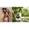 PLANTANA Olivenkroppskrem med vitamin E, 500 ml
